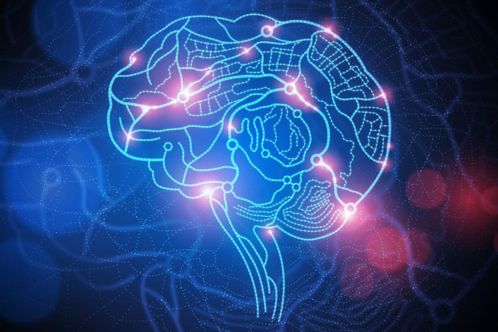 DHA kìm hãm sự lão hóa não, ngăn ngừa sự suy giảm trí nhớ. 
