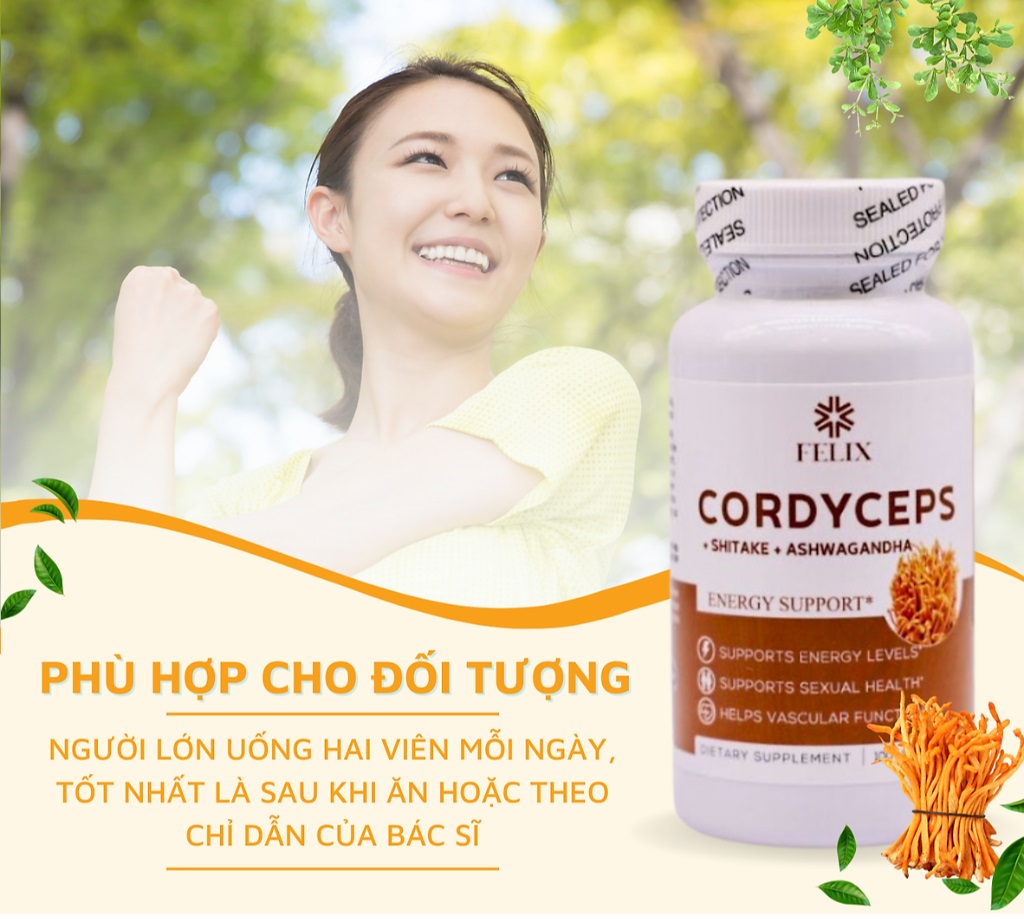 co nen dung vien uong felix cordyceps dong trung ha thao