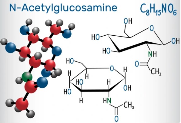 cac dang che pham cua glucosamine