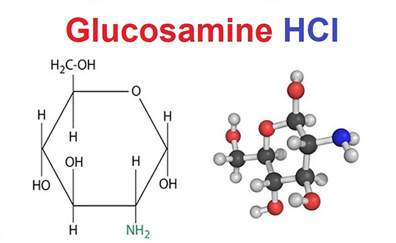 cac dang che pham cua glucosamine