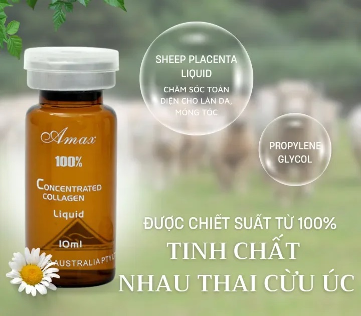 tinh chat te bao goc nhau thai cuu co tot khong