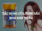 10 Tác dụng của tinh dầu hoa anh thảo và cách sử dụng hiệu quả