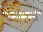 Cách dùng sữa ong chúa giúp tăng cường miễn dịch hiệu quả nhất