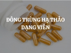 Đông trùng hạ thảo dạng viên có tốt không? Ai nên dùng viên uống đông trùng hạ thảo?