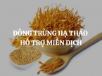 Đông trùng hạ thảo hỗ trợ miễn dịch bằng cơ chế nào? Nên mua đông trùng hạ thảo loại nào tốt?