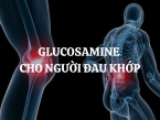 Glucosamine cho người đau khớp: Giải pháp hỗ trợ sức khỏe khớp xương