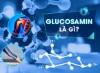 Glucosamine là gì? Công dụng, liều dùng và những lưu ý khi sử dụng