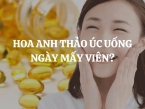 Hoa Anh Thảo Úc uống ngày mấy viên? Cách dùng tinh dầu Hoa Anh Thảo Costar Úc