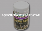 Lợi ích của sữa dê Costar Goat Milk Tablet 620mg là gì?