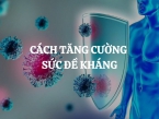 Những cách tăng cường sức đề kháng hiệu quả nhất giúp cơ thể chống lại bệnh tật