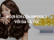 6 lợi ích của Omega 3 với da và tóc là gì? Omega 3 loại nào tốt? Mua ở đâu chính hãng?