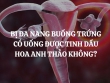 Bị đa nang buồng trứng có uống được tinh dầu hoa anh thảo không?