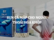 Có nên dùng sụn cá mập cho người thoái hóa khớp hay không?