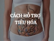 Gợi ý những cách hỗ trợ tiêu hóa giúp đường ruột khỏe mạnh