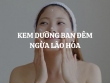 Kem dưỡng ban đêm ngừa lão hóa là gì? Loại nào hiệu quả nhất hiện nay?