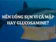 Nên uống sụn vi cá mập hay Glucosamine? Mua sụn vi cá mập và Glucosamine ở đâu chính hãng, giá tốt?