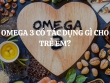 Omega 3 có tác dụng gì cho trẻ em? Những lưu ý khi bổ sung Omega 3 cho trẻ