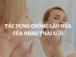 Tác dụng chống lão hóa của nhau thai cừu là gì? Những sản phẩm chăm sóc da chứa nhau thai cừu phổ biến