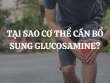 Tại sao cơ thể cần bổ sung Glucosamine? Lợi ích của việc bổ sung Glucosamine là gì?