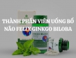 Thành phần viên uống bổ não Felix Ginkgo Biloba: Giải pháp hiệu quả hỗ trợ sức khỏe não bộ