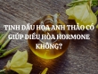 Tinh dầu hoa anh thảo có giúp điều hòa hormone không?