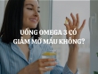 Uống Omega 3 có giảm mỡ máu không? Tác dụng và lưu ý khi sử dụng Omega 3