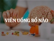 Viên uống bổ não có lợi ích gì? Có nên dùng viên uống bổ não Felix Ginkgo Biloba?