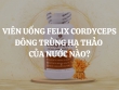 Viên uống Felix Cordyceps đông trùng hạ thảo của nước nào? Có tốt không? Nên mua không?