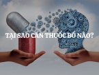 Tại sao cần thuốc bổ não? Một số loại thuốc bổ não bạn cần biết trên thị trường hiện nay