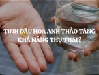 Tinh dầu hoa anh thảo tăng khả năng thụ thai? Lợi ích của tinh dầu hoa anh thảo?