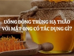 Uống đông trùng hạ thảo với mật ong có tác dụng gì? Cách pha chế đông trùng hạ thảo ngâm mật ong