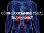 Uống Glucosamine có hại thận không? Những điều cần biết trước khi sử dụng