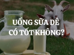 Uống sữa dê có tốt không? Có nên mua sữa dê Costar Goat Milk Tablet của Úc không?